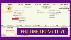 Phụ Tinh là gì trong Tử Vi?