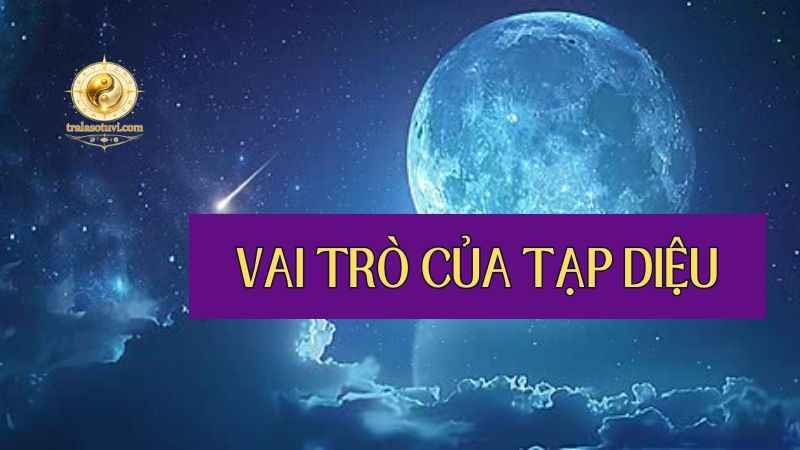 Vai trò của Tạp Diệu