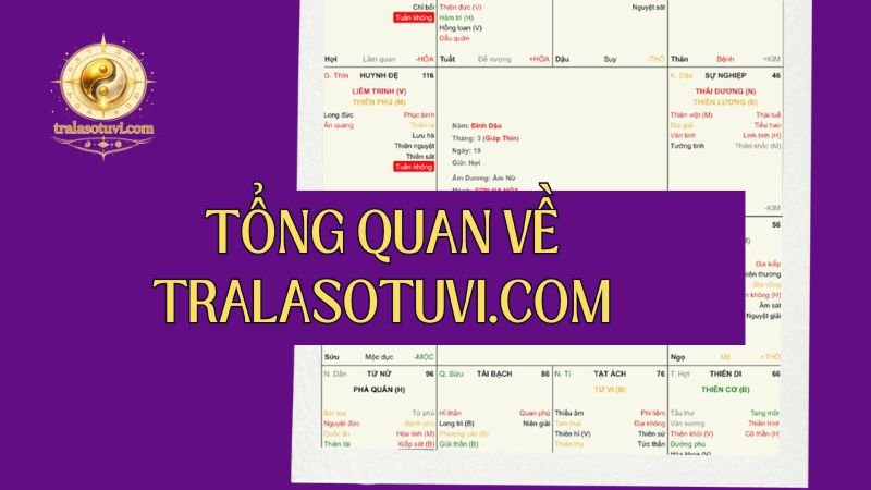 Giới thiệu tổng quan về tralasotuvi.com