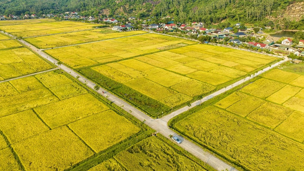 1 công đất là bao nhiêu m2