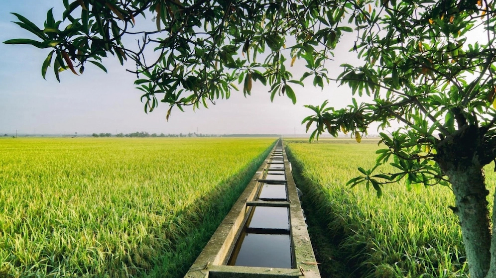 1 công đất là bao nhiêu m2