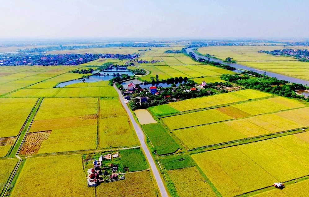 1 công đất là bao nhiêu m2