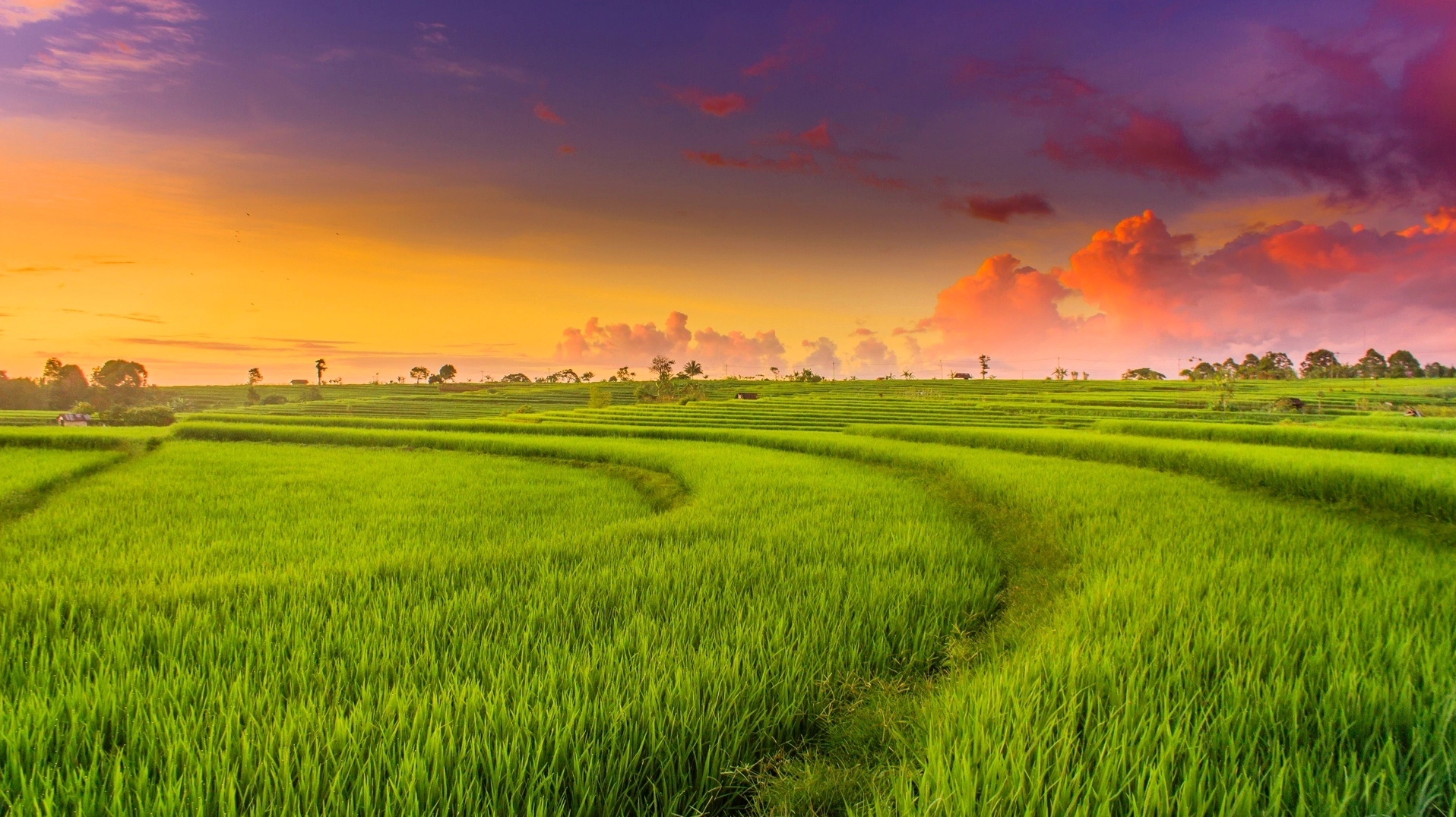 1 mẫu bằng bao nhiêu sào