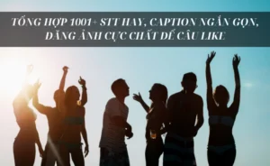 100-cap-hay-dang-anh-ngan-gon-giat-tit-cau-like-sieu-dinh_953