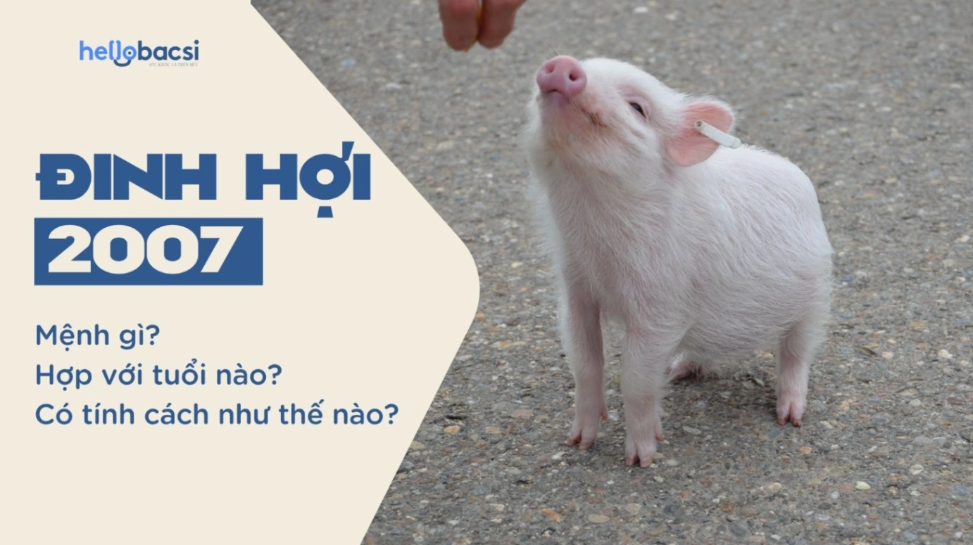 2007 thuộc mệnh gì? Giải mã chi tiết tính cách Đinh Hợi 2007