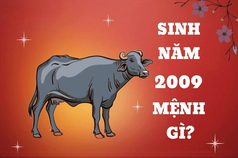 2009 là năm Kỷ Sửu và người sinh vào năm nay sẽ mang mệnh Tích Lịch Hỏa đại diện cho lửa sấm sét mạnh mẽ