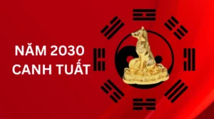 2030-la-nam-con-gi-giai-ma-menh-kim-hop-tuoi-van-menh-canh-t_866