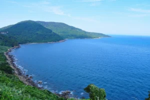 bai-but-da-nang-2026-kham-pha-vien-ngoc-an-cua-son-tra-hoan-_591