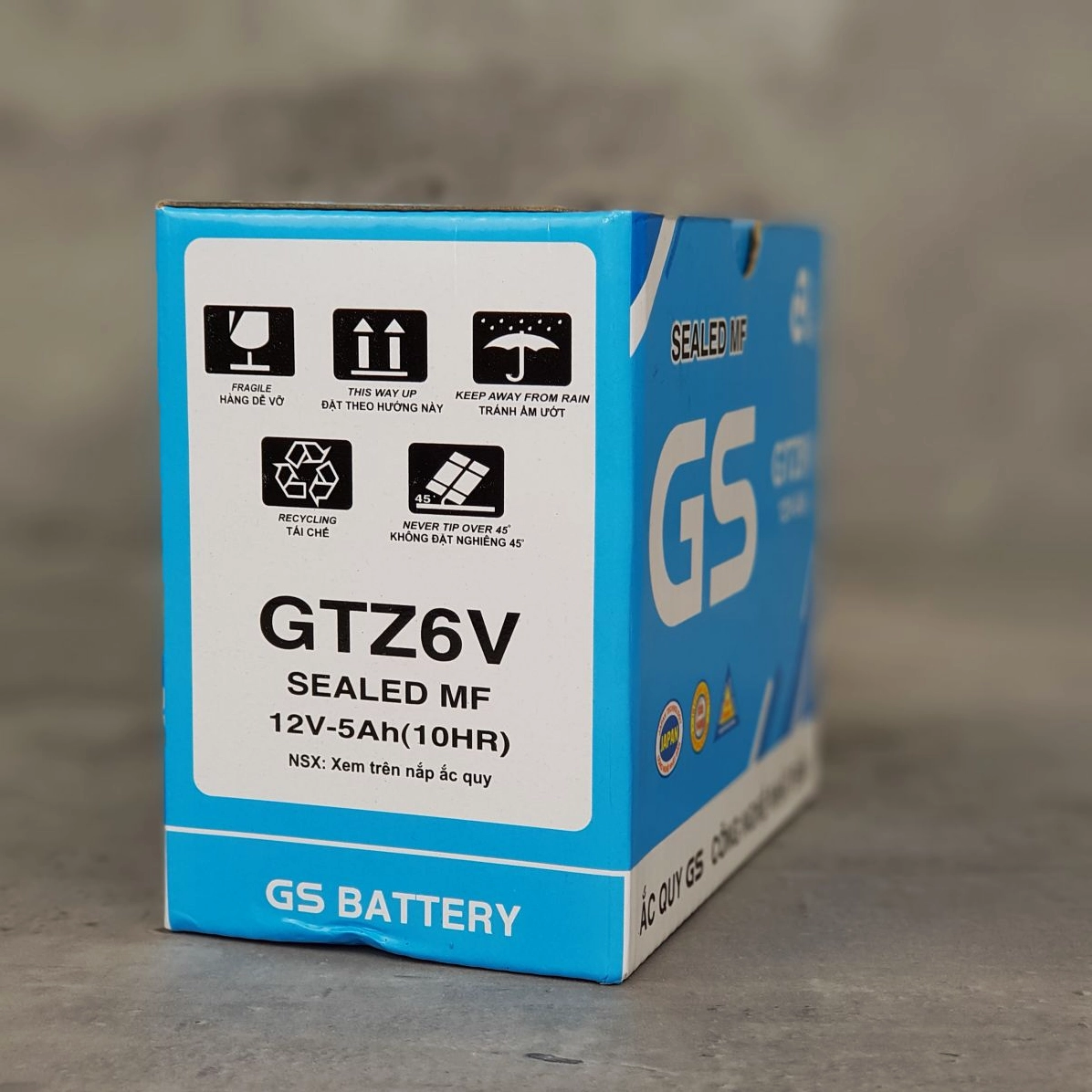 Bình ắc quy xe Vision GS GTZ6V 12V 5AH
