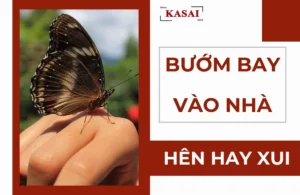 buom-nau-bay-vao-nha-la-diem-gi-giai-ma-chi-tiet-hen-hay-xui_436