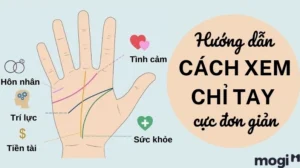 cach-xem-chi-tay-co-ban-giai-ma-duong-sinh-menh-tinh-duyen-s_818