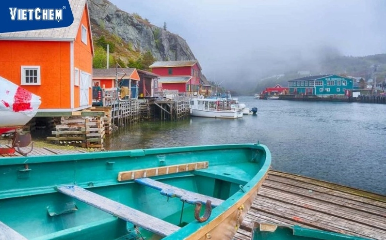 Cảnh sương mù dày đặc tại Newfoundland, Canada