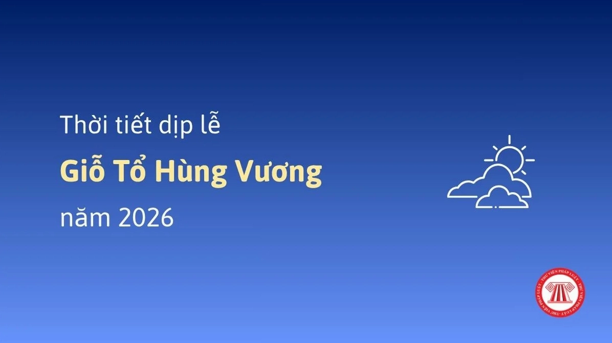 Chấp hành luật giao thông để tránh bị phạt