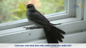 chim-bay-vao-nha-la-diem-gi-bao-hieu-tot-hay-xau-moi-nhat-20_795