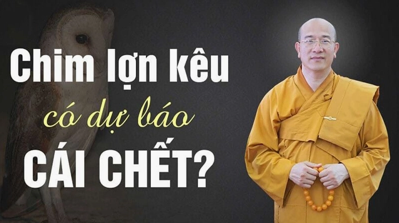 chim lợn kêu