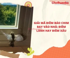 chim-se-bay-vao-nha-la-diem-bao-gi-tot-hay-xau-danh-so-may_430