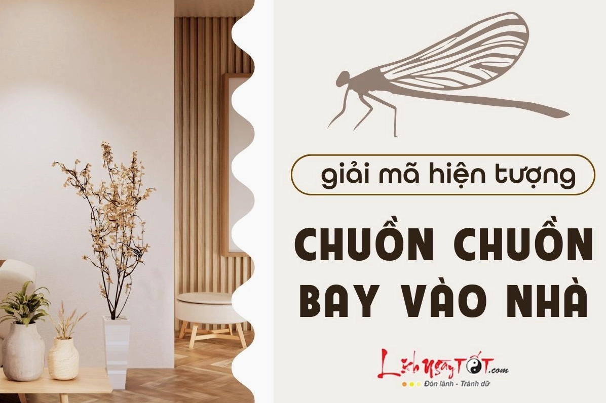 Chuồn chuồn bay vào nhà mang điềm báo gì