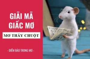 con-chuot-so-bao-nhieu-giai-ma-y-nghia-giac-mo-thay-chuot-ch_911