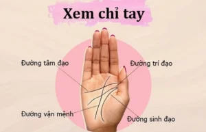 con-gai-xem-chi-tay-ben-nao-chuan-xac-nhat-2026-giai-ma-bi-a_746