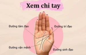 con-gai-xem-chi-tay-ben-nao-giai-ma-bi-an-ban-tay-nu-gioi-ch_903