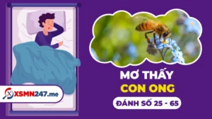 con-ong-so-bao-nhieu-giai-ma-giac-mo-thay-ong-chi-tiet-nhat-_796