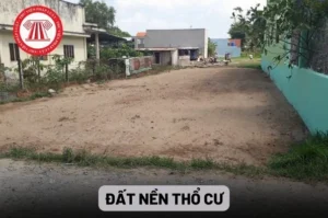 dat-tho-cu-la-gi-toan-tap-kien-thuc-quan-trong-nhat-nam-2026_665