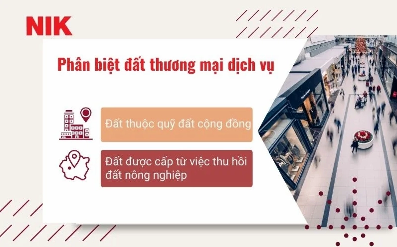 ĐẤT THƯƠNG MẠI DỊCH VỤ LÀ GÌ