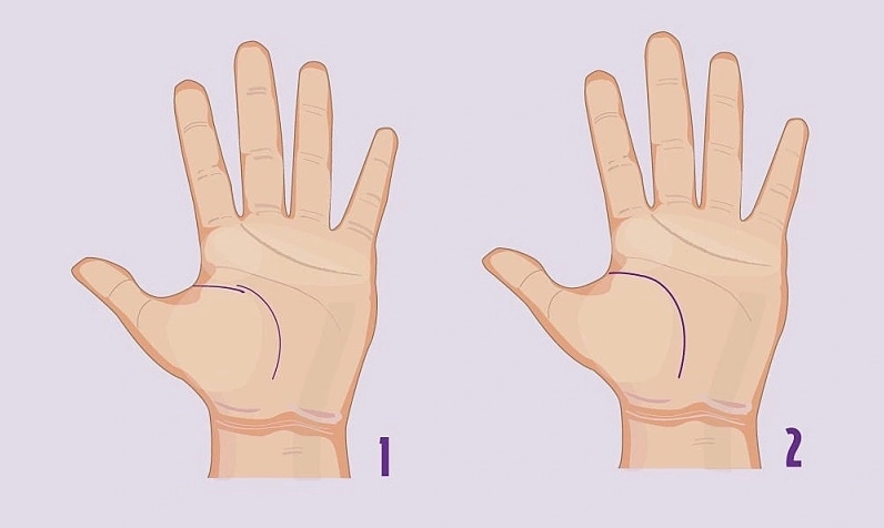 Đường chỉ tay sinh mệnh phản ánh tình trạng sức khỏe tổng quát của một người