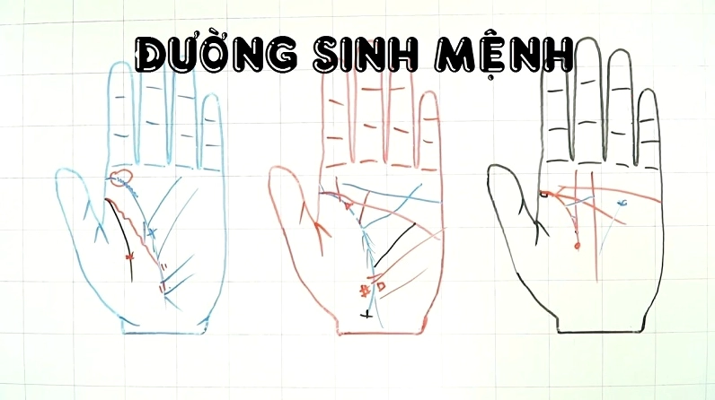 Đường thẳng thường cho thấy cuộc sống ổn định và ít gặp phải sóng gió