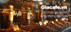 gia-ca-phe-hom-nay-dak-nong-20042026-cap-nhat-nong-xu-huong-_419
