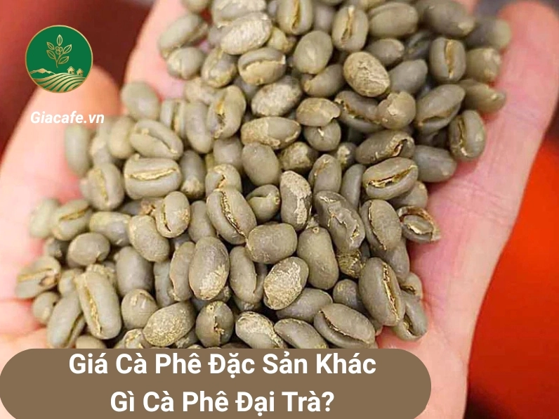 Giá cà phê tăng trưởng ổn định