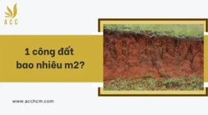 giai-ma-1-cong-dat-la-bao-nhieu-m2-hieu-ro-cong-dat-3-mien-n_894