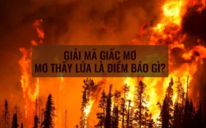giai-ma-giac-mo-thay-lua-chay-diem-bao-hung-hay-cat-y-nghia-_644