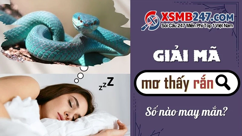 giai-ma-giac-mo-ve-ran.jpg