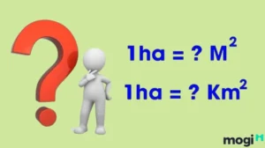 giai-ma-nhanh-1-hecta-bang-bao-nhieu-m2-huong-dan-chi-tiet-n_302