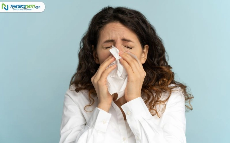 Giải mã số lần hắt xì hơi