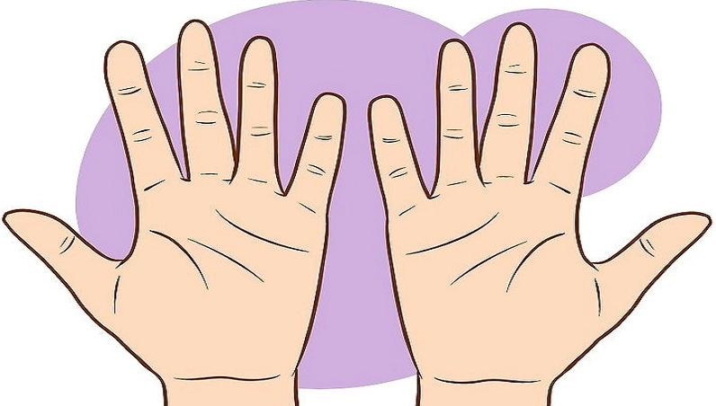 Gợi ý cách xem chỉ tay nữ đơn giản, dễ hiểu