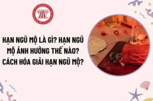 han-ngu-mo-la-gi-cach-hoa-giai-han-ngu-mo-chi-tiet-nhat-2026_199