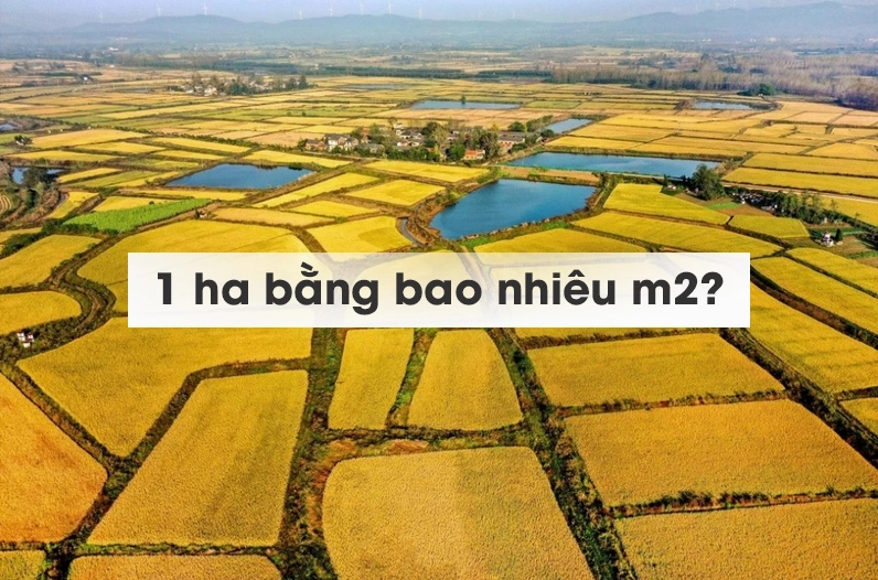 Hình ảnh minh họa 1 ha bằng bao nhiêu m2 trong thực tế