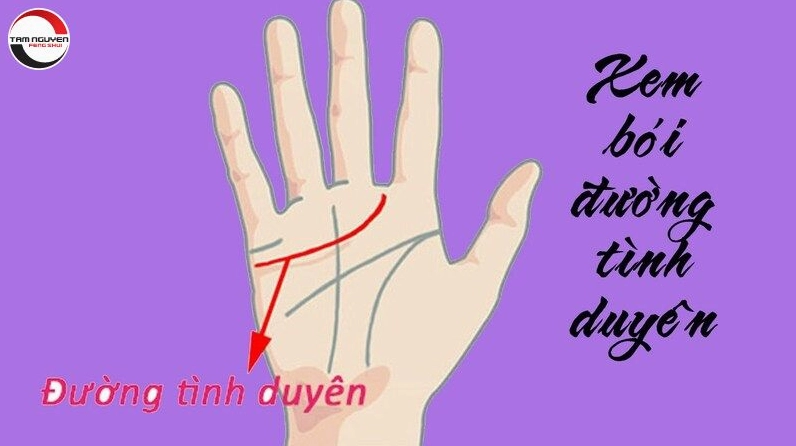Hình dáng khác nhau của đường tình duyên