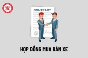 hop-dong-mua-ban-xe-may-2026-mau-moi-nhat-luu-y-quan-trong_223