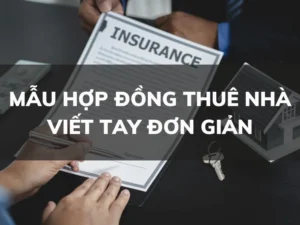 hop-dong-thue-nha-viet-tay-chuyen-gia-huong-dan-chi-tiet-de-_989