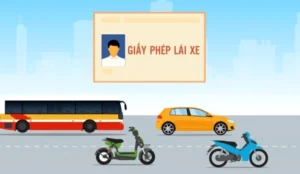 huong-dan-doi-bang-lai-xe-may-online-va-truc-tiep-chi-tiet-n_788