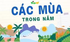 kham-pha-bi-an-cac-mua-trong-nam-huong-dan-toan-dien-tu-a-z_646