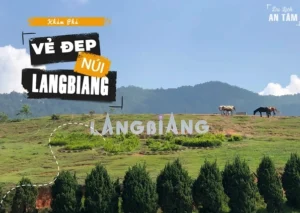 kham-pha-nui-langbiang-bieu-tuong-huyen-thoai-noc-nha-da-lat_132