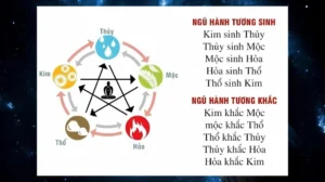 kim-moc-thuy-hoa-tho-giai-ma-ngu-hanh-chuan-phong-thuy-doi-s_105