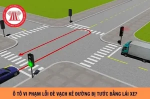 loi-de-vach-ke-duong-o-to-2026-muc-phat-va-cach-xu-ly-chuan-_680