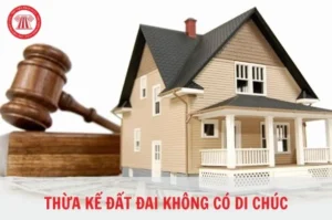 luat-thua-ke-dat-dai-khong-di-chuc-moi-nhat-2026-dieu-can-bi_967