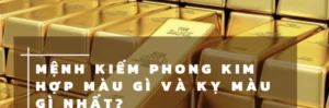 menh-kim-hop-voi-mau-gi-nam-2026-bat-mi-sac-mau-tai-loc-thin_972
