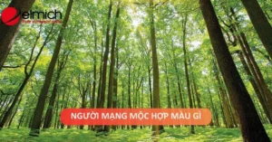 menh-moc-hop-mau-gi-2026-kham-pha-bi-quyet-vuong-khi-may-man_831